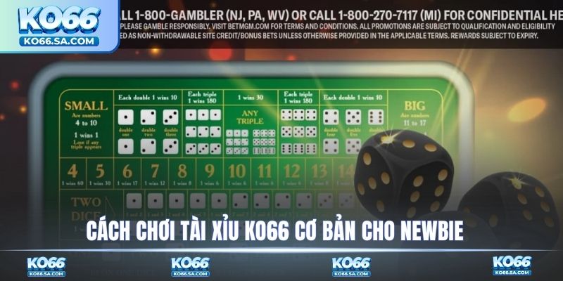 Cách chơi tài xỉu KO66 cơ bản cho newbie