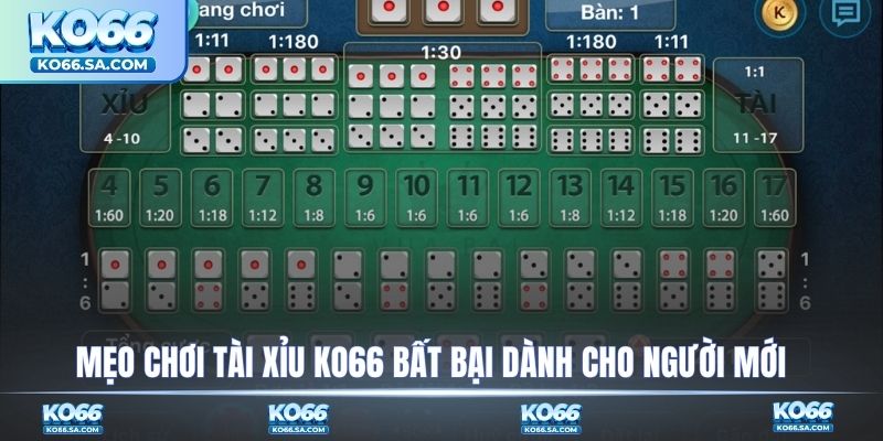  Mẹo chơi tài xỉu KO66 bất bại dành cho người mới 